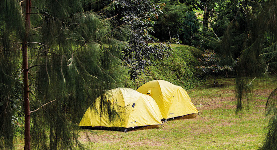 Biophilia Boost: How Camping Can Improve Your Mental Health