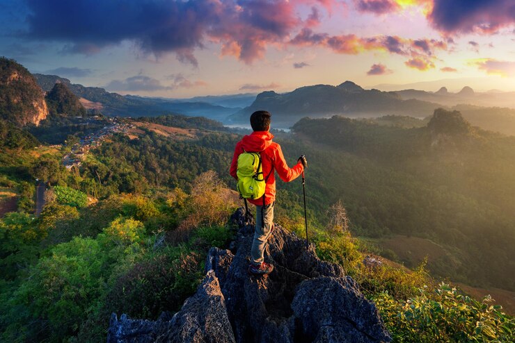 Why You Need Trekking Poles & Sticks for Your Next Hike?