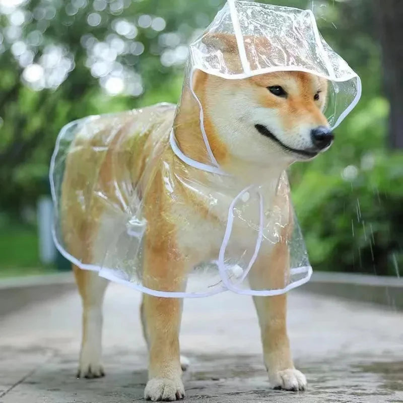 Pet Dog Transparent Raincoat - Waterproof Hooded Jacket for Small Dogs